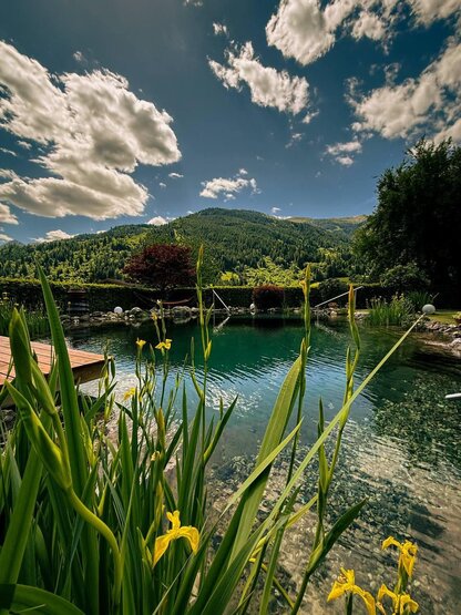 WhatsApp_Image_2025-06-03_at_19